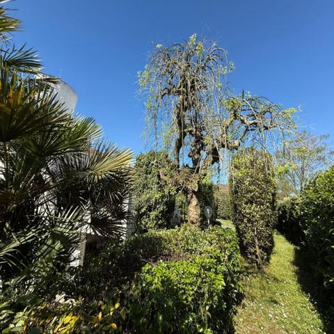 Maison Vaux Sur Mer 10 pièce(s) 205 m2 Vaux sur mer