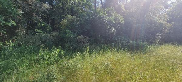 Terrain avec bâtisse ancienne à rénover ? Saint-Hilaire-de-Riez, secteur Fradinière