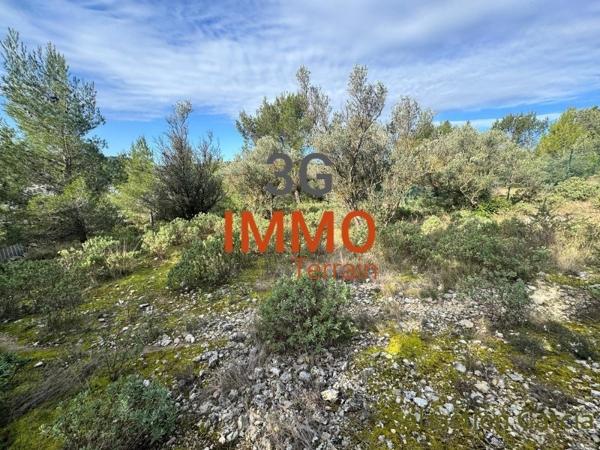 Vente / Terrain constructible