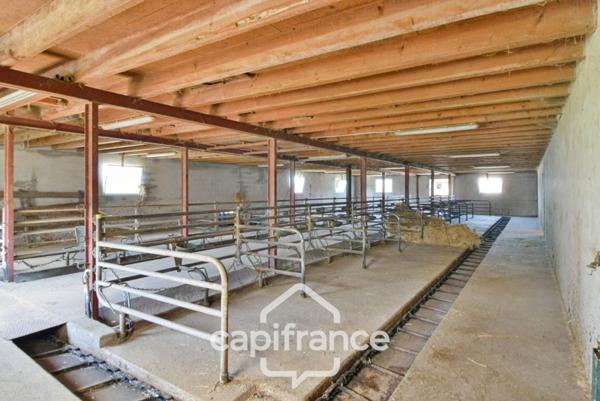 Dpt Jura (39), à vendre proche de BLETTERANS maison P10