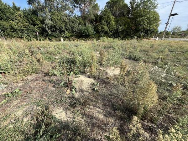 Terrain à vendre 87 374 € Brax 816 m² DPE