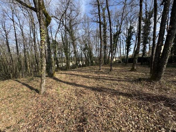 Terrain à vendre |  Puymoyen |  1002 m²