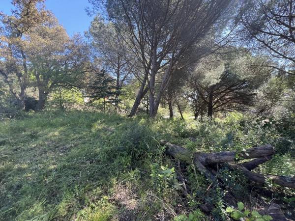 TERRAIN CONSTRUCTIBLE VUE ROCHER