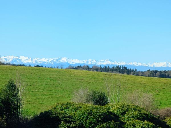 Maison à vendre à Sorèze (81540) - Tarn