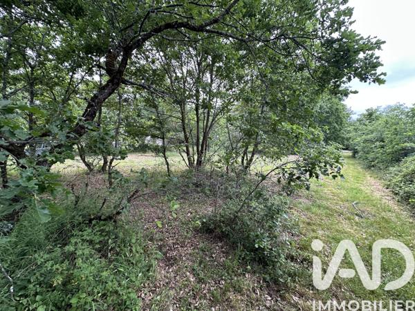 Terrain à vendre 1 000 m² Castelnau-d'Estrétefonds