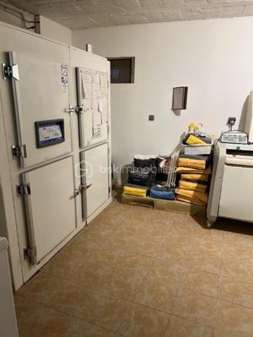 Immeuble mixte de 176 m²