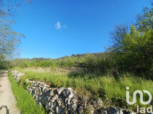 Terrain à vendre 11 710 m² Bédarieux