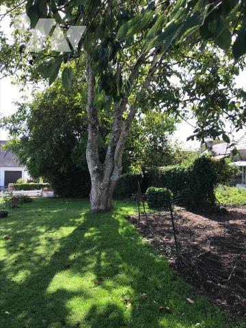 TERRAIN CONSTRUCTIBLE, MERLEVENEZ