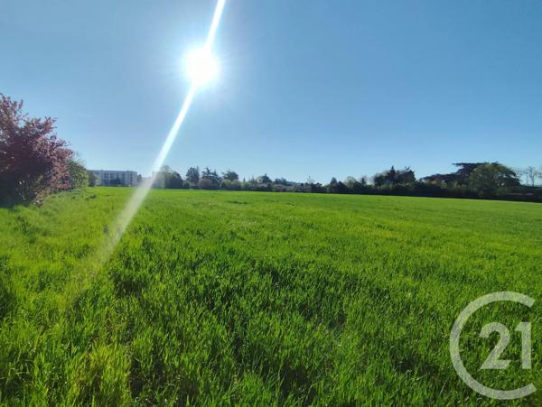 Terrain à vendre  32000 m 2   CASTRES  - 81