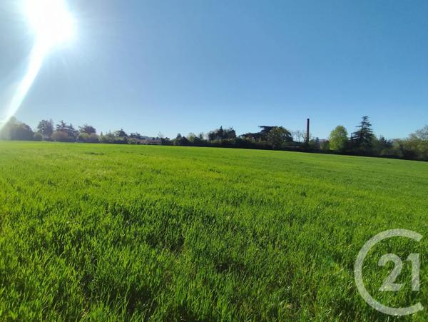 Terrain à vendre  32000 m 2   CASTRES  - 81