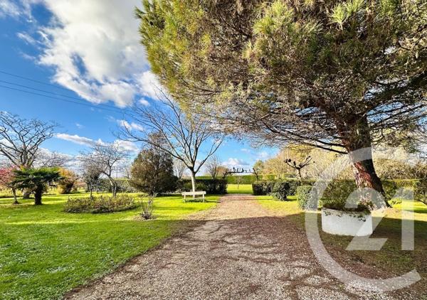 Maison à vendre  6 pièces - 127 m2 ST ANDRE DE CUBZAC - 33