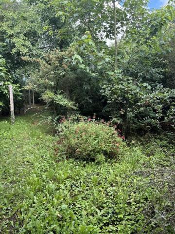 Maison à vendre à Châteauneuf-d'Ille-et-Vilaine en Ille-et-Vilaine (35430), ref : VP-24-457