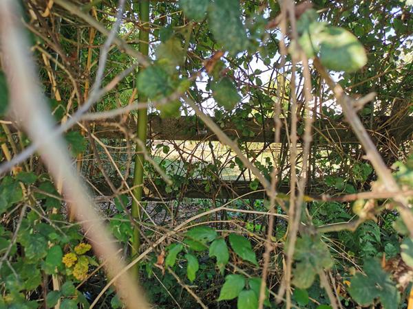 Terrain a vendre a Les Sables d Olonne - Sauveterre