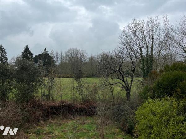 Maison à fort potentiel sur vaste terrain