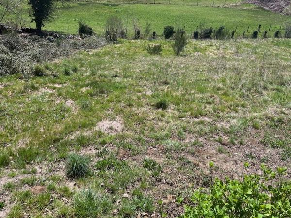 Terrain à vendre à ambazac