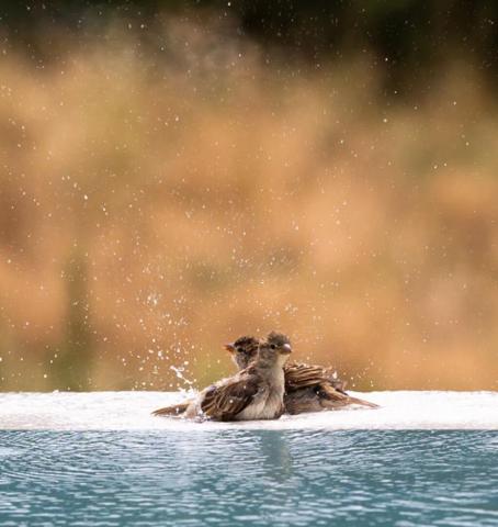 Terrain avec belle vue dégagée et panoramique