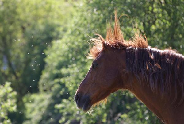 Terrain avec belle vue dégagée et panoramique
