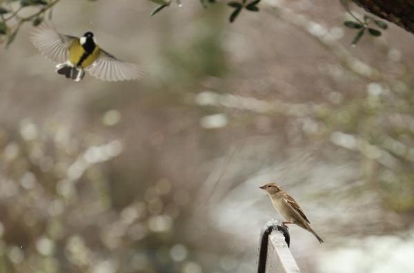 Terrain avec belle vue dégagée et panoramique
