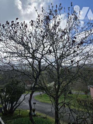 Maison individuelle, quatre chambres sur la commune de VERCIA (VAL-SONNETTE).