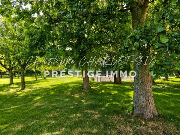 À vendre - Ferme, 14 pièces située à Lille (59800)