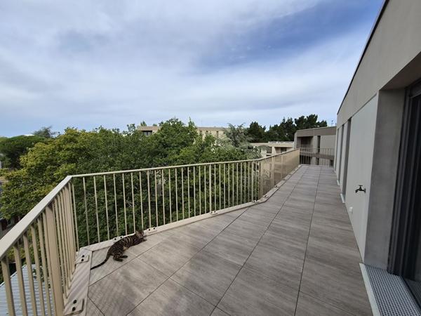 Appartement Nantes 5 pièce(s) RECTEUR SCHMITT - JONELIERE - DERNIER ETAGE - TERRASSE