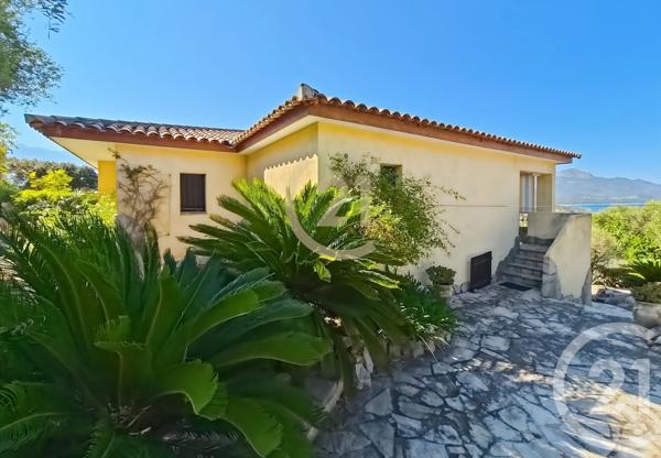 Maison à vendre  4 pièces - 83,40 m 2   LUMIO  - 202