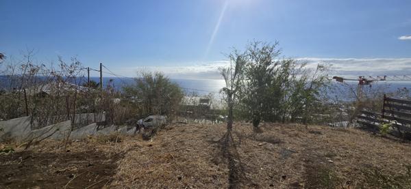 Saint-Leu (97436) Villa F5 Meublée La Rivière St Louis