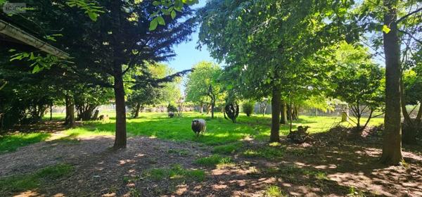 Achat - Propriété | Propriété Hattencourt 80700 322 m 2 5634 m 2