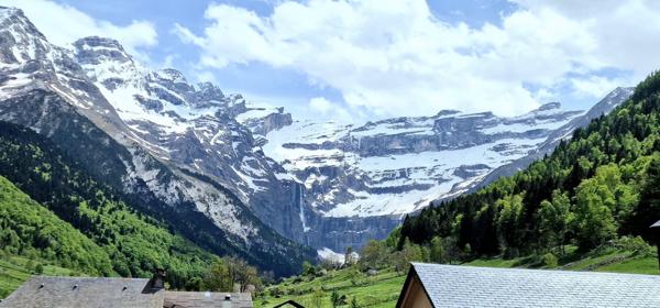 Local Commercial 22 pièces - 451 m²