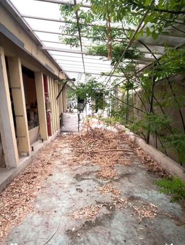 lot de 303m2,dont studio de 35m2 et Cave.Jardin