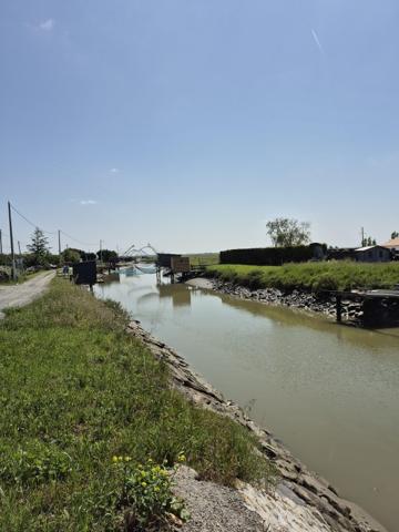 Vente / Terrain agricole
