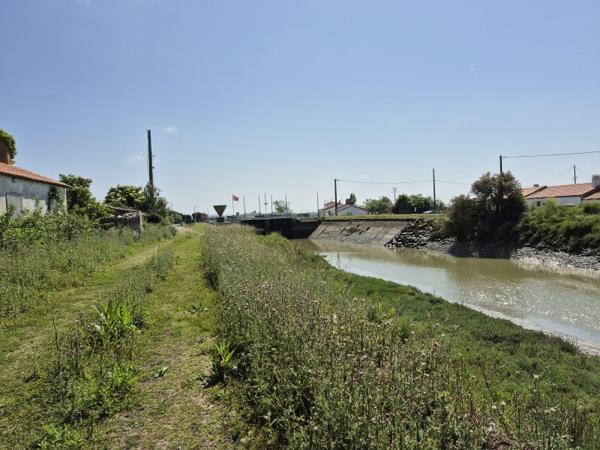 Vente / Terrain agricole