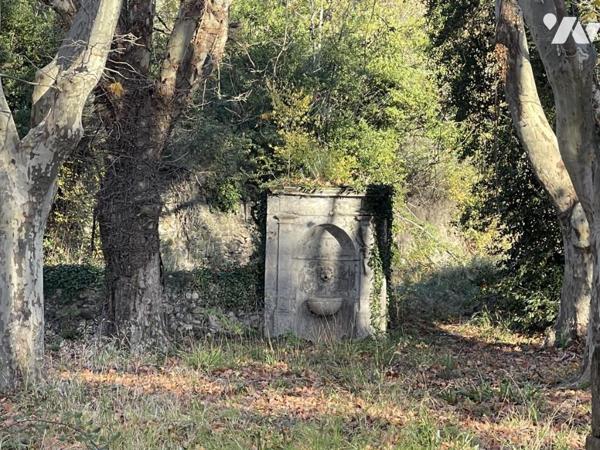 Ancien domaine viticole du 19ème Siècle