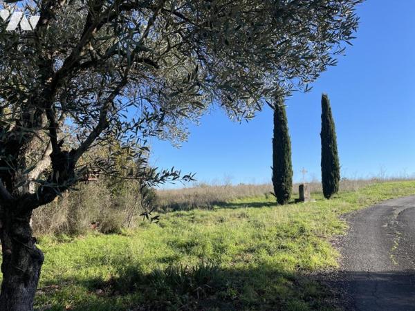 Ancien domaine viticole du 19ème Siècle
