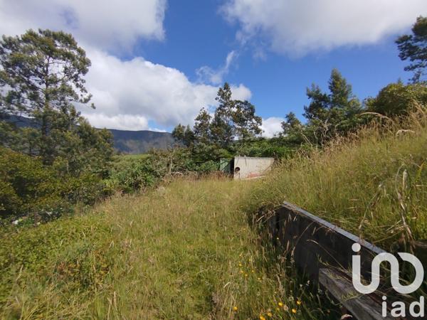 Maison rustique 10 pièces de 418 m² à Saint-Joseph (97480)