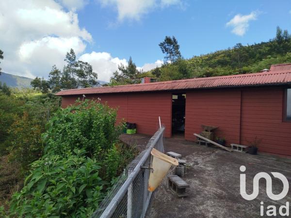 Maison rustique 10 pièces de 418 m² à Saint-Joseph (97480)