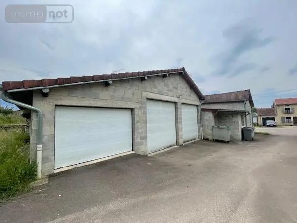 Achat - Fonds et/ou murs commerciaux Blondefontaine 70500 4 pièces 150 m 2 890 m 2
