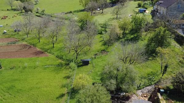 Grande maison familiale 245 m² ou investissement locatif 3 appartements ou les deux