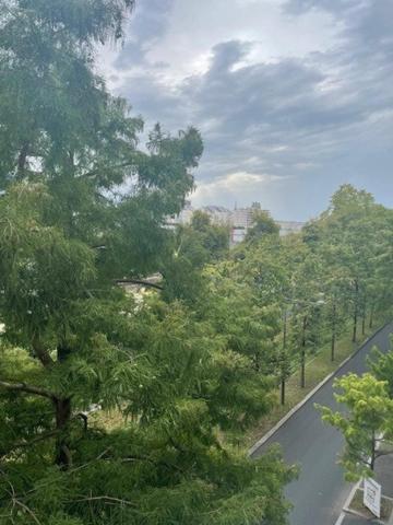 Idéal investisseurs ou 1er achat