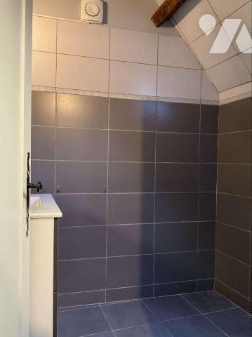 A VENDRE : Dans village avec commerces, maison en pierre authentique avec pigeonnier, entièreme...