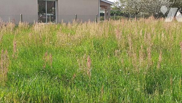 Terrain à Bâtir avec projet de construction d'une villa de plain-pied de type 4 avec garage !