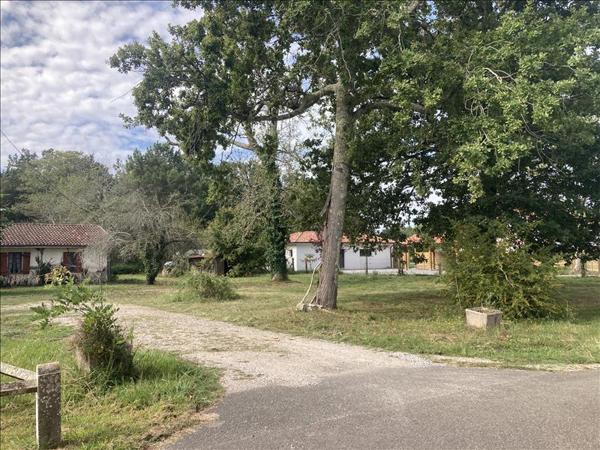 Terrain à vendre |  Linxe |  427 m²