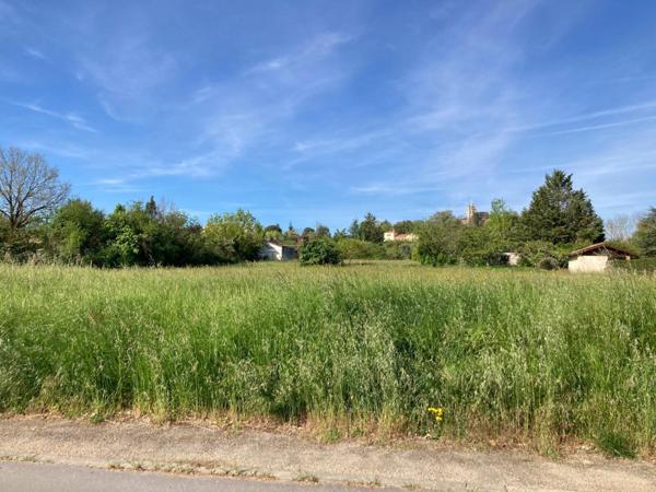 Terrain à vendre    Lavaur
