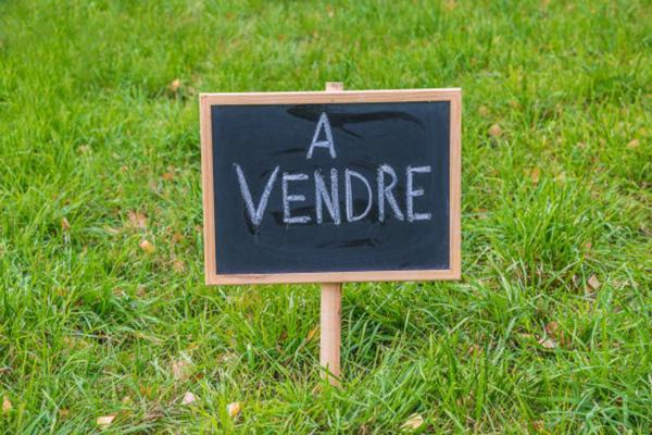 Terrain à vendre LA MEMBROLLE SUR LONGUENEE (49)