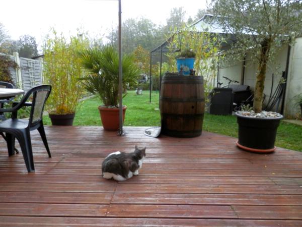 MAISON de Ville avec Jardin