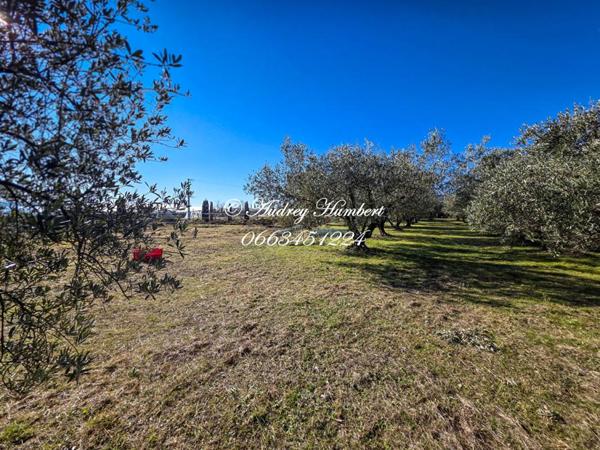 VILLENEUVE, Propriété  de 180 m²  + dépendances avec maison principale, T2 indépendant et grand potentiel sur 6900 m²