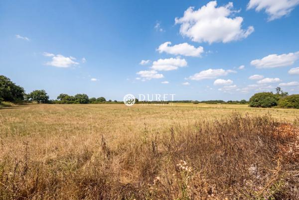 Maison rénovée avec hangar de 330 m²