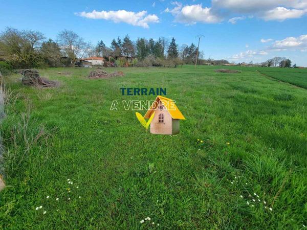 Vente / Terrain constructible
