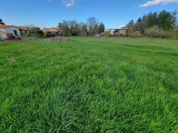 Vente / Terrain constructible