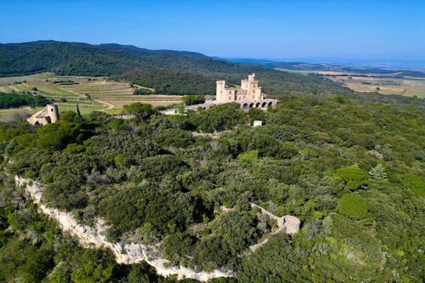 Vente Château Pont-Saint-Esprit 9 Pièces 385 m²